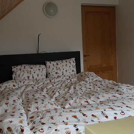 Strada Tiszas Vacation House BaileTusnad Zewnętrze zdjęcie