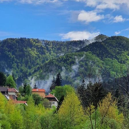 Strada Tiszas Vacation House BaileTusnad Zewnętrze zdjęcie
