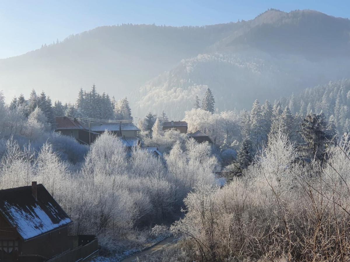 Strada Tiszas Vacation House BaileTusnad Zewnętrze zdjęcie