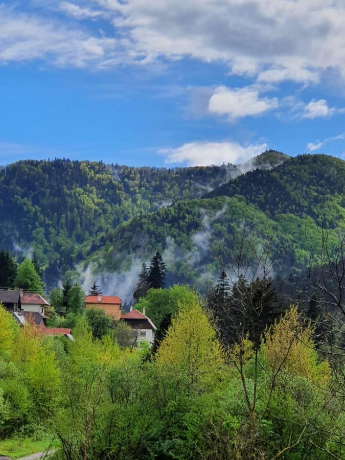 Strada Tiszas Vacation House BaileTusnad Zewnętrze zdjęcie