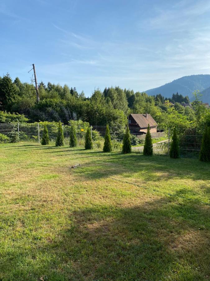 Strada Tiszas Vacation House BaileTusnad Zewnętrze zdjęcie