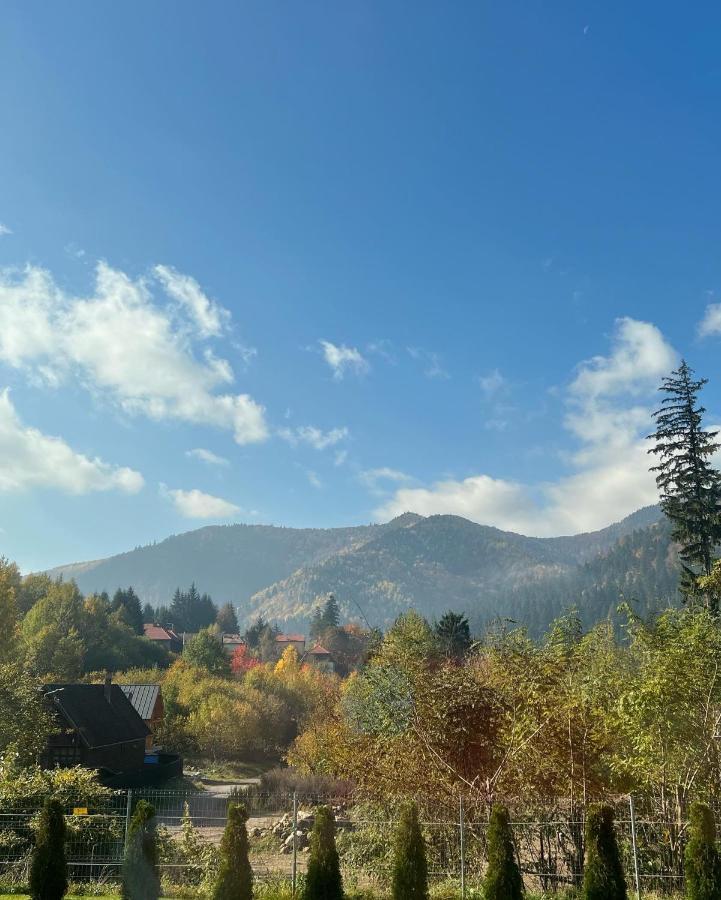 Strada Tiszas Vacation House BaileTusnad Zewnętrze zdjęcie