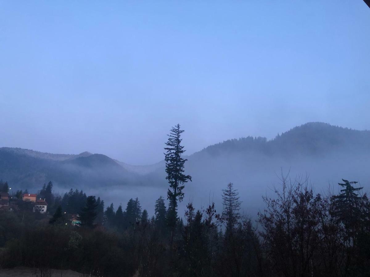 Strada Tiszas Vacation House BaileTusnad Zewnętrze zdjęcie